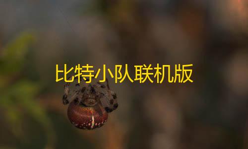 24小时dy点赞秒到账比特小队联机版